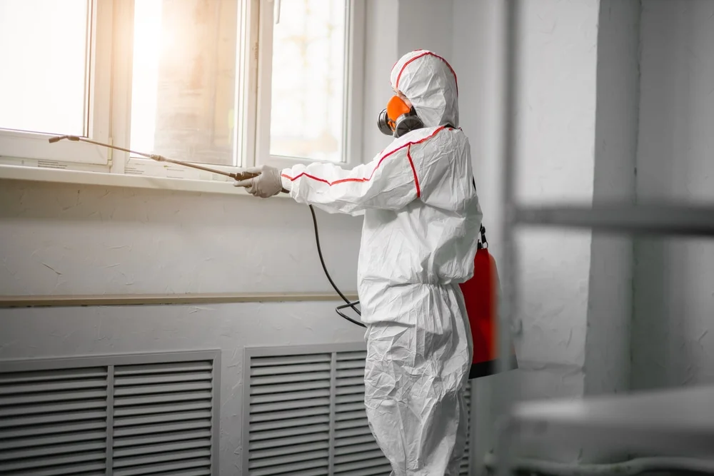 Professional mold remediation services in Broadview Heights, OH